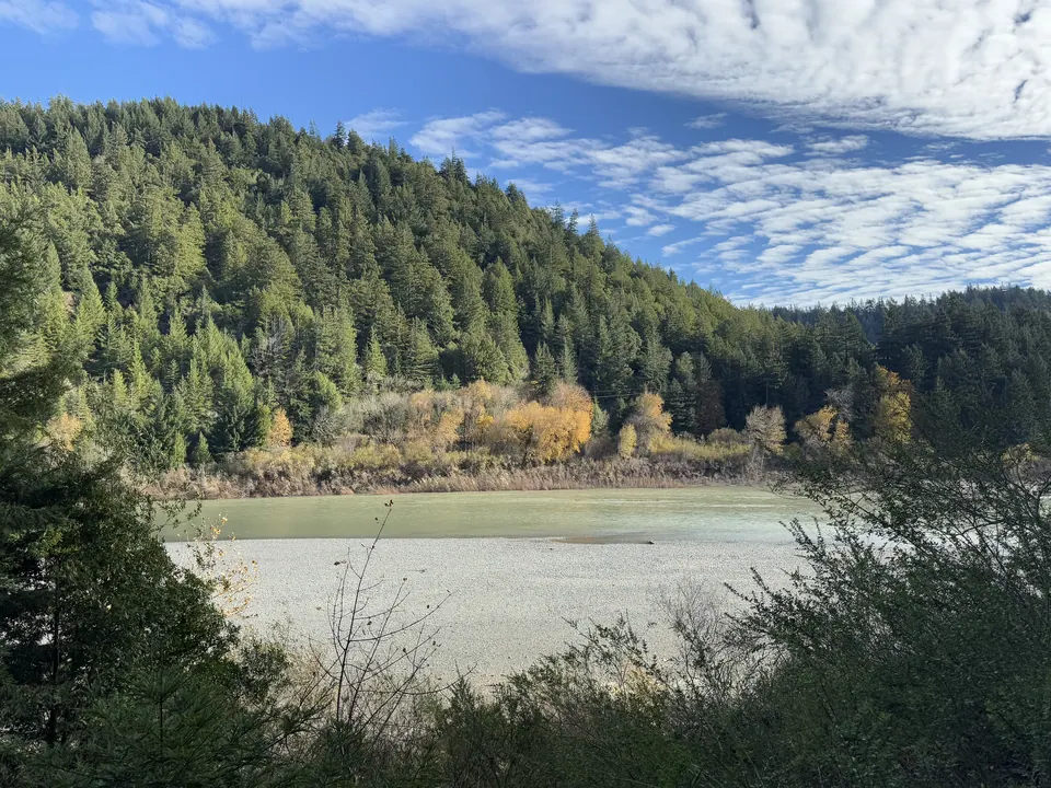 The Eel River flowing through a forested valley